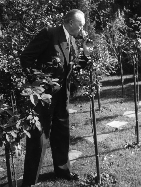 Schwarz-Weiss-Aufnahme von Konrad Adenauer mit Rosen im Garten